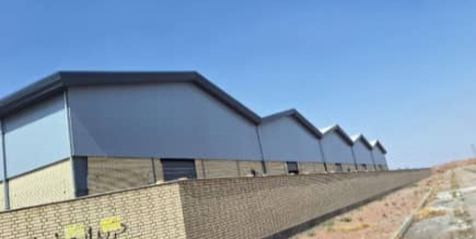 وحید رضا زندوکیلی